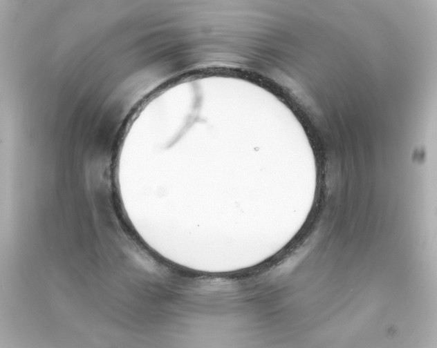 X0000090501113200708102235