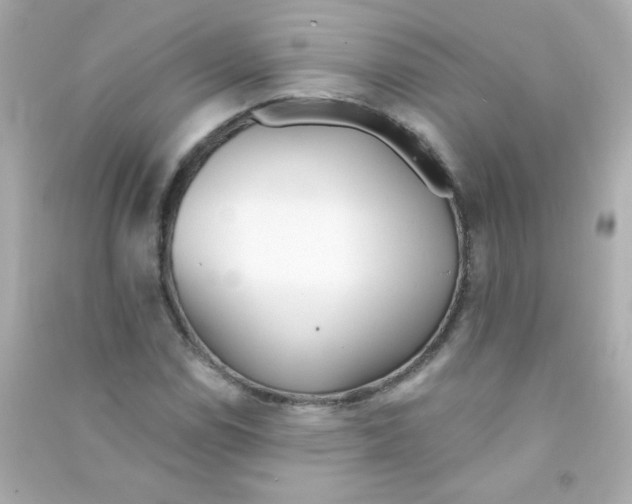 X0000090501114200708102235