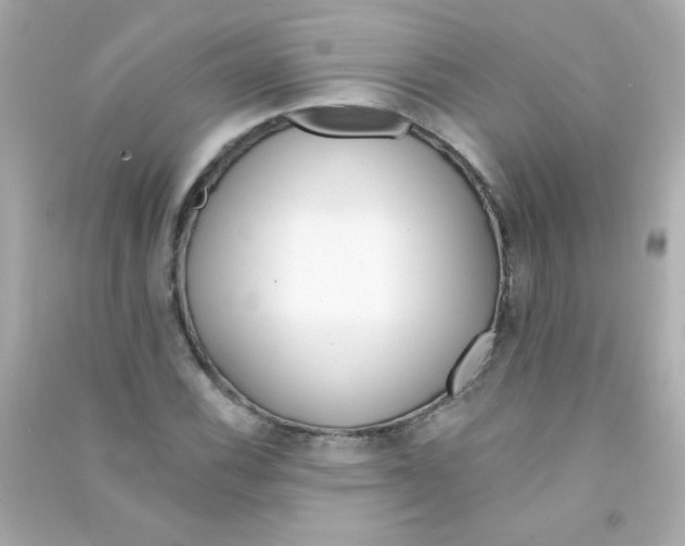 X0000090501116200708102235