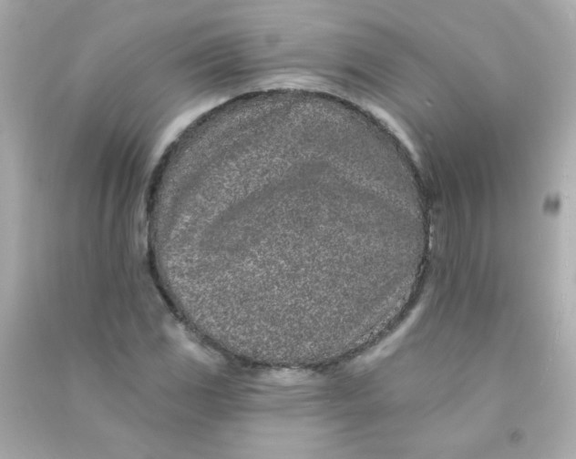 X0000090501117200708102235