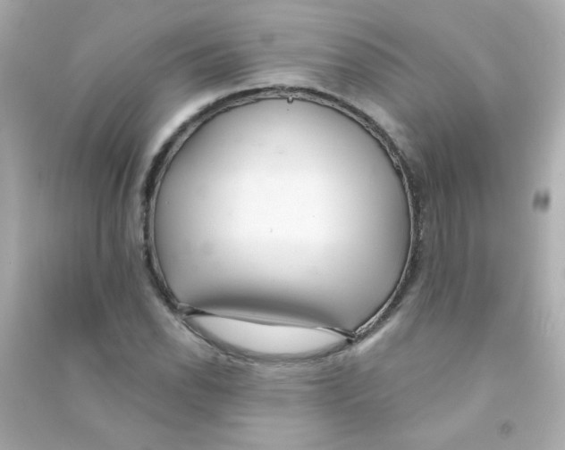 X0000090501118200708102235