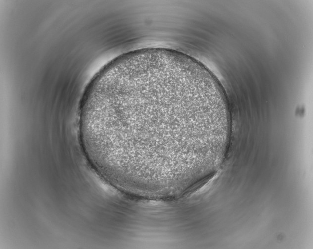 X0000090501119200708102235