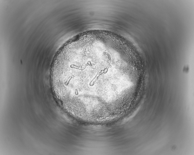 X0000090501121200708102235