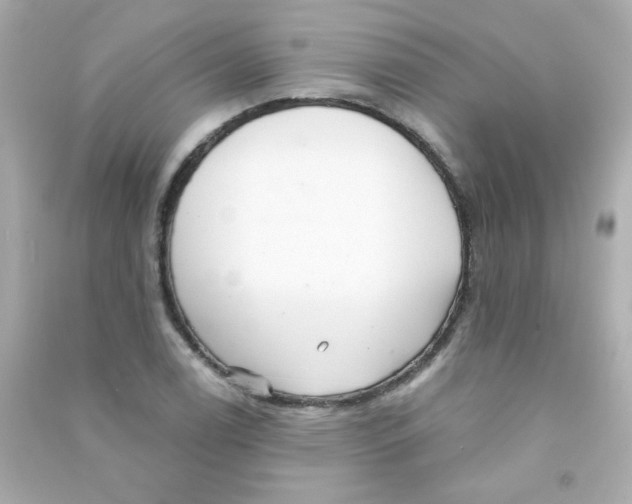 X0000090501122200708102235