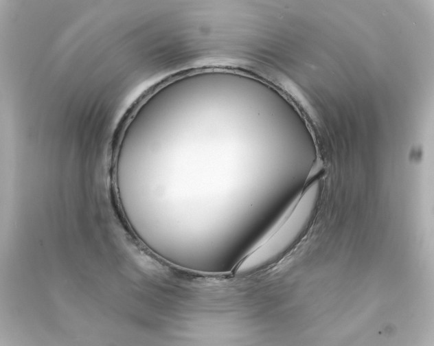 X0000090501124200708102235