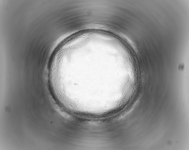 X0000090501125200708102235