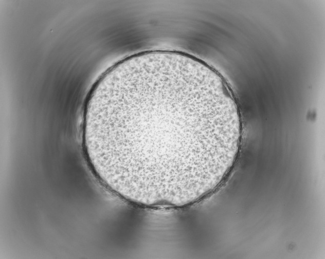 X0000090501126200708102235