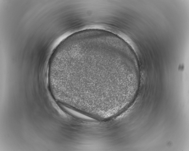 X0000090501127200708102235