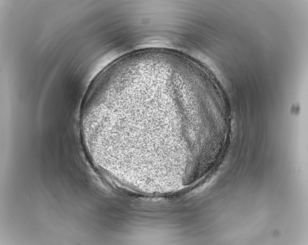 X0000090501129200708102235