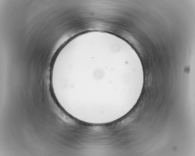 X0000090501130200708102235