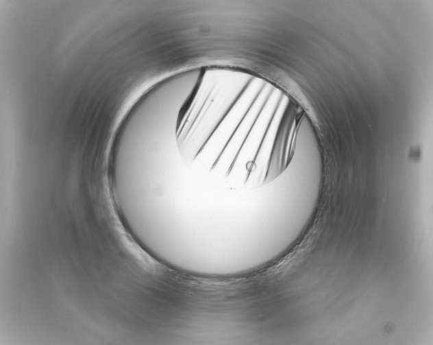 X0000090501132200708102235