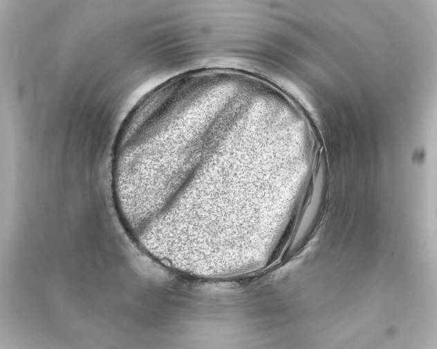 X0000090501133200708102235