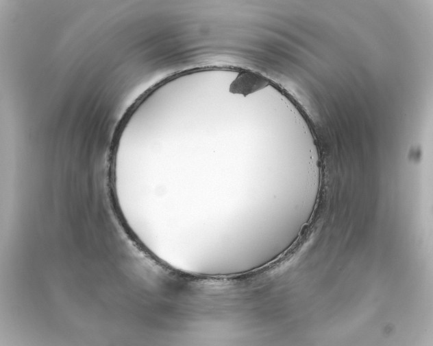 X0000090501134200708102235