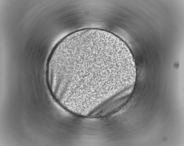 X0000090501135200708102235