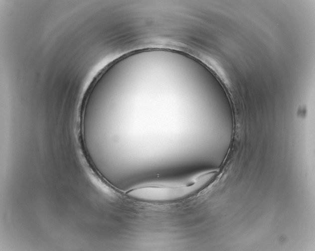 X0000090501136200708102235