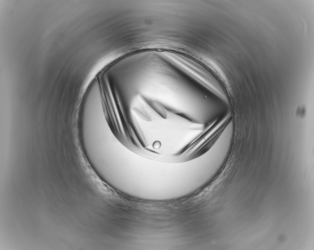 X0000090501138200708102235