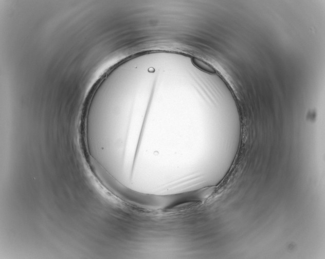 X0000090501139200708102235