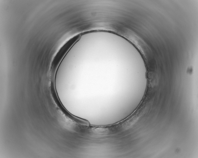 X0000090501140200708102235