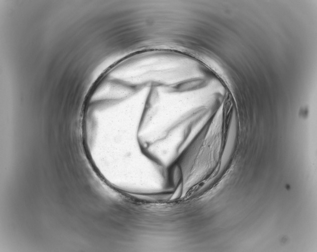 X0000090501141200708102235