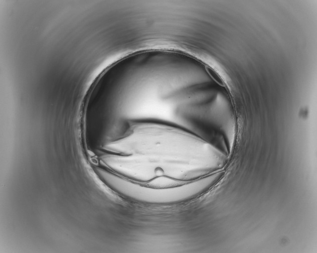 X0000090501142200708102235