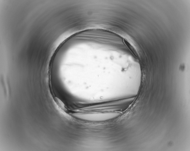 X0000090501143200708102235