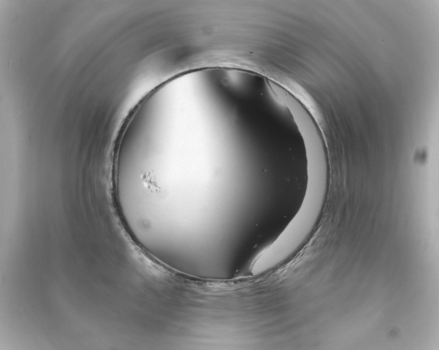 X0000090501144200708102235