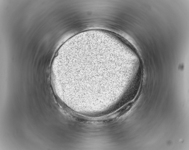 X0000090501145200708102235