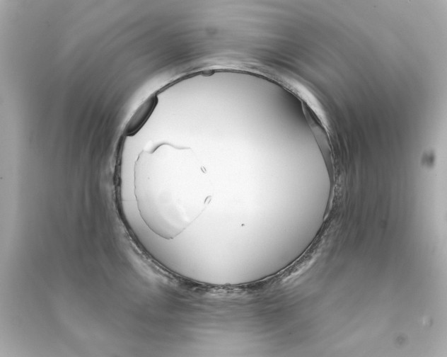 X0000090501146200708102235