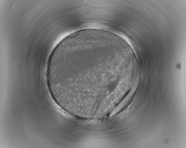 X0000090501147200708102235