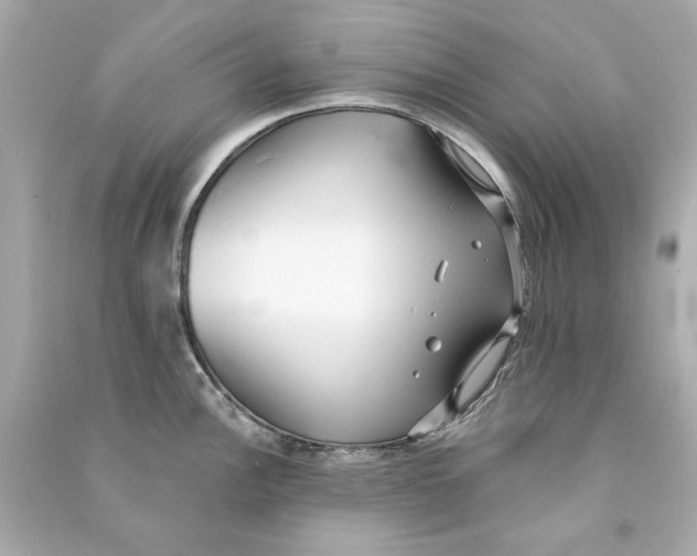 X0000090501148200708102235