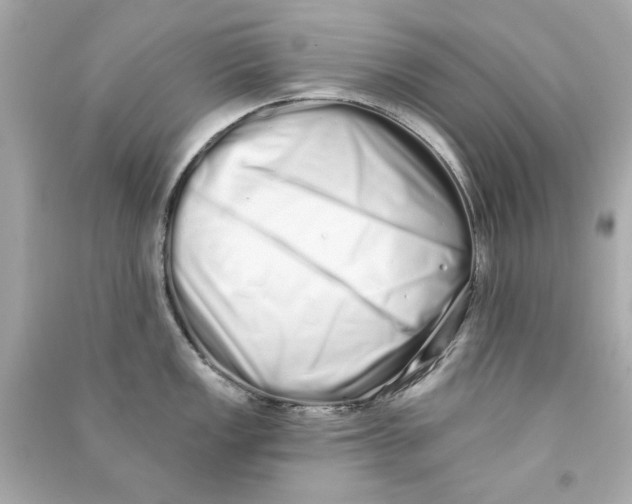 X0000090501149200708102235