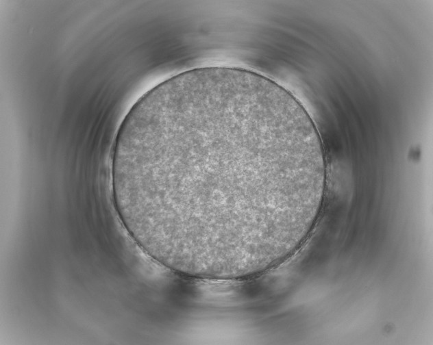 X0000090501150200708102235