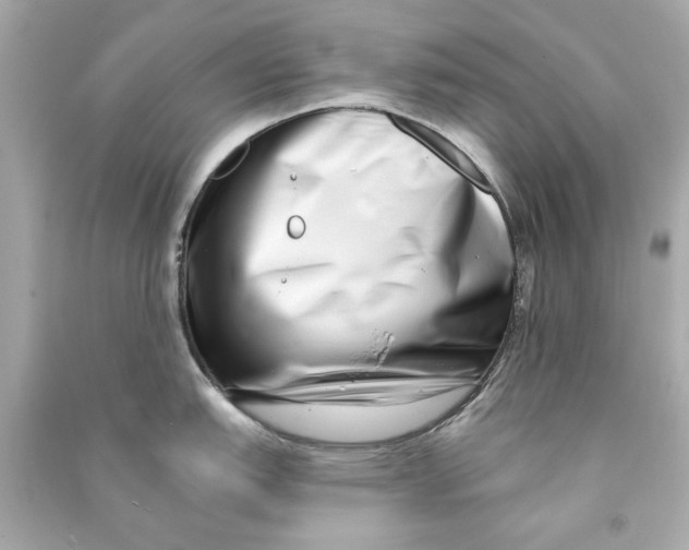 X0000090501151200708102235