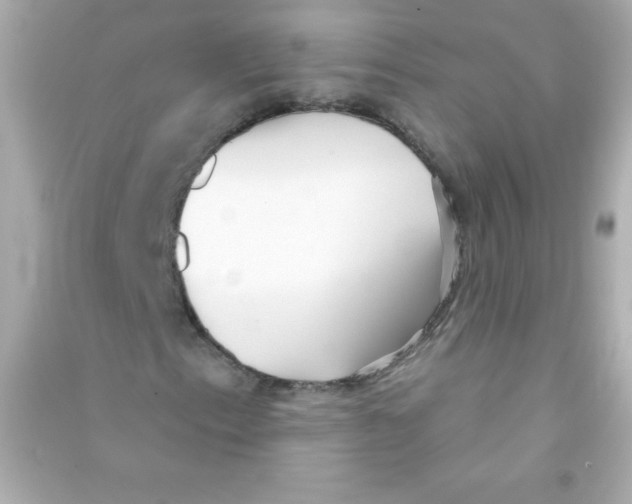 X0000090501153200708102234