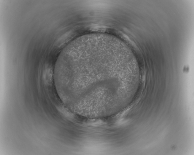 X0000090501154200708102234