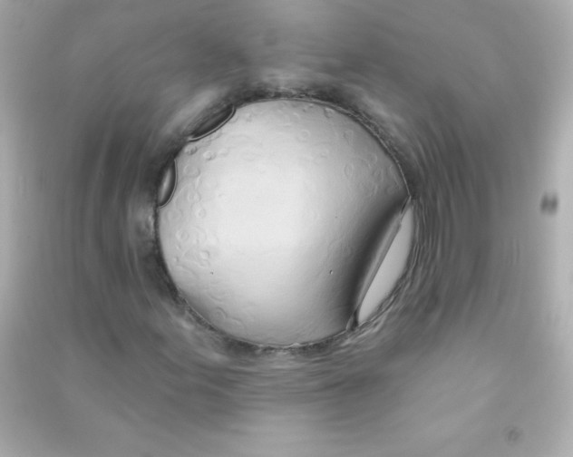 X0000090501155200708102234