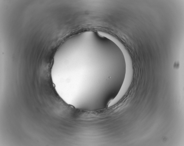 X0000090501156200708102234