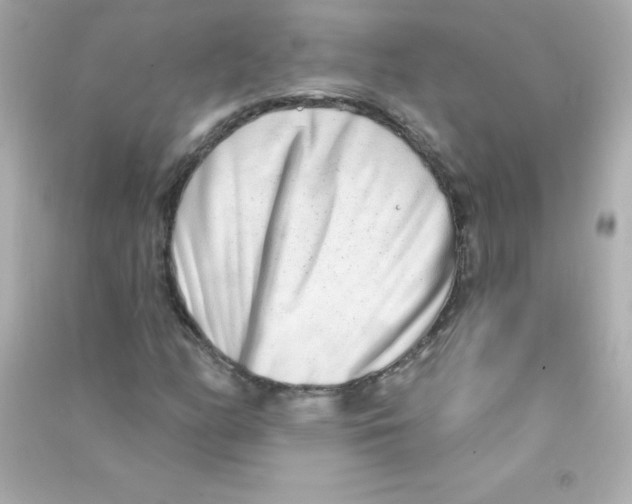 X0000090501158200708102234