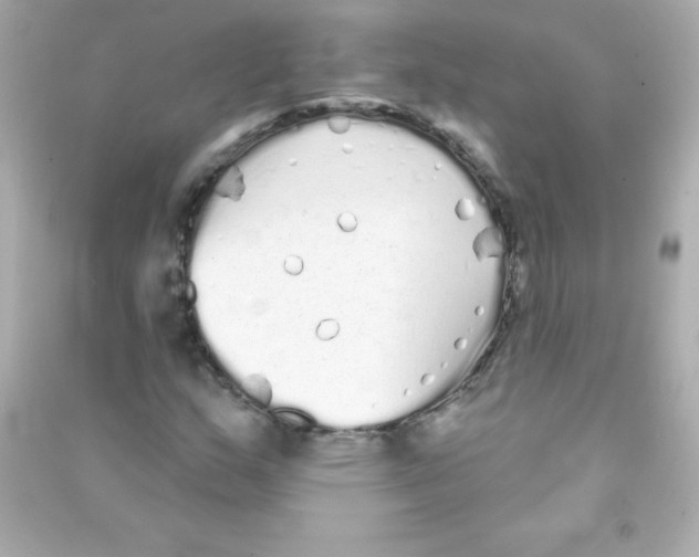 X0000090501159200708102234