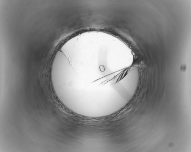 X0000090501160200708102234