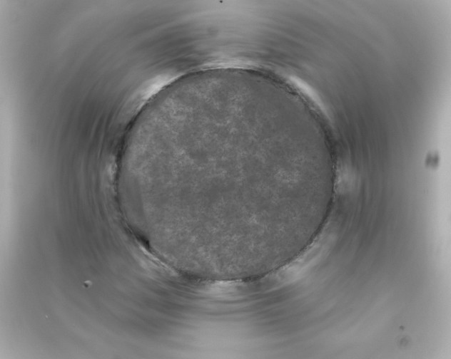 X0000090501161200708102234