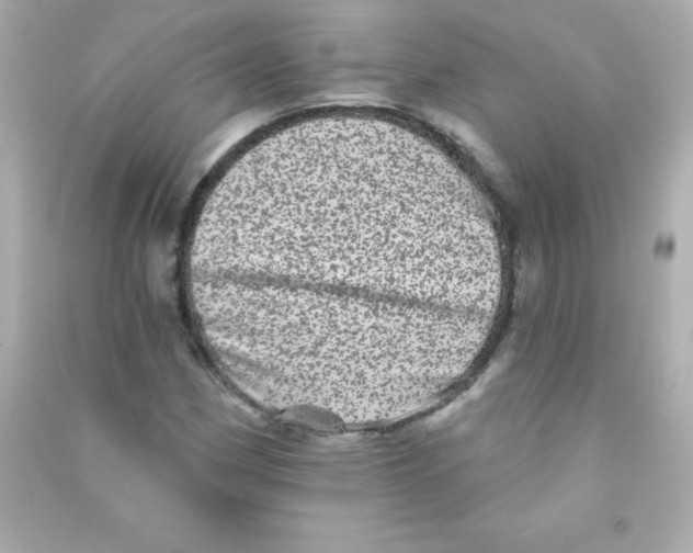 X0000090501162200708102234