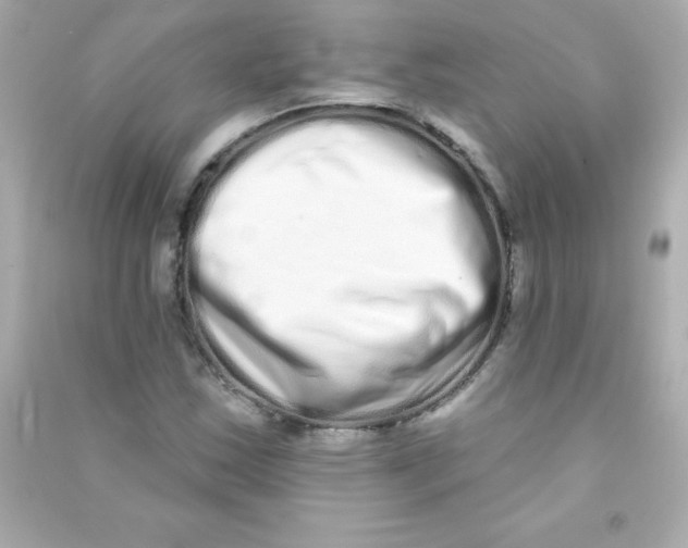 X0000090501163200708102234