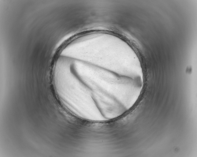 X0000090501166200708102234