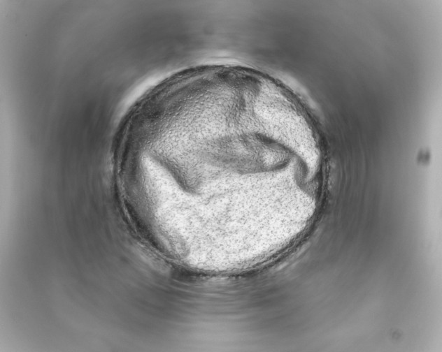 X0000090501167200708102234