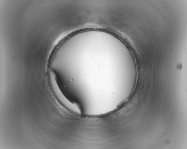 X0000090501168200708102234