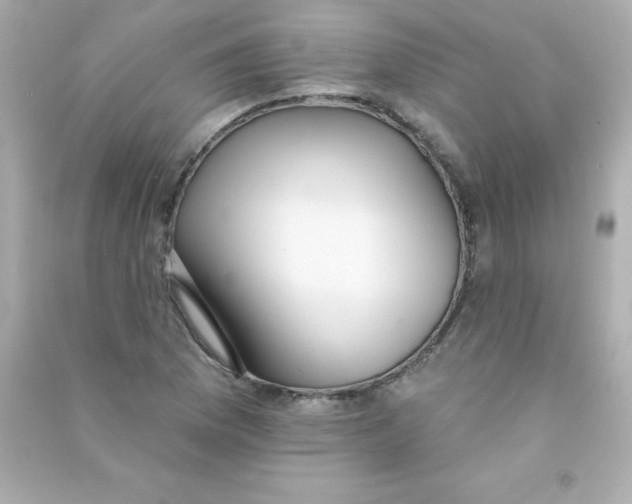 X0000090501169200708102234