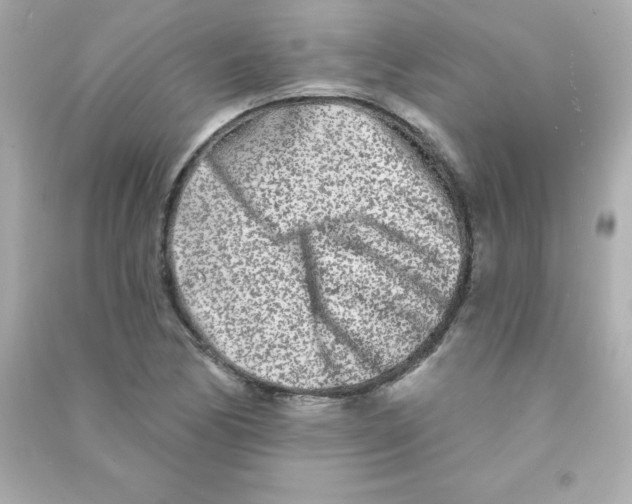 X0000090501170200708102234