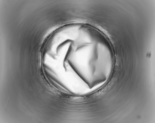 X0000090501171200708102234