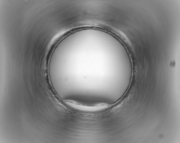 X0000090501172200708102234